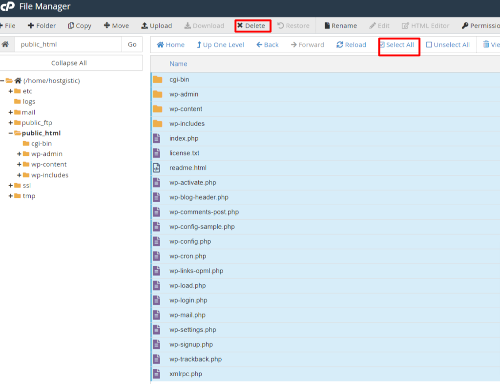 selectfiles file manager How to delete WordPress